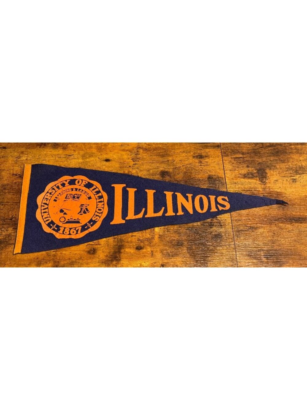 Vintage University of Illinois pennant